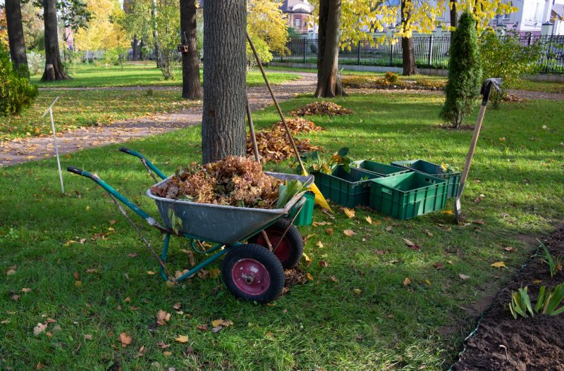 Fallen Leaf Removal