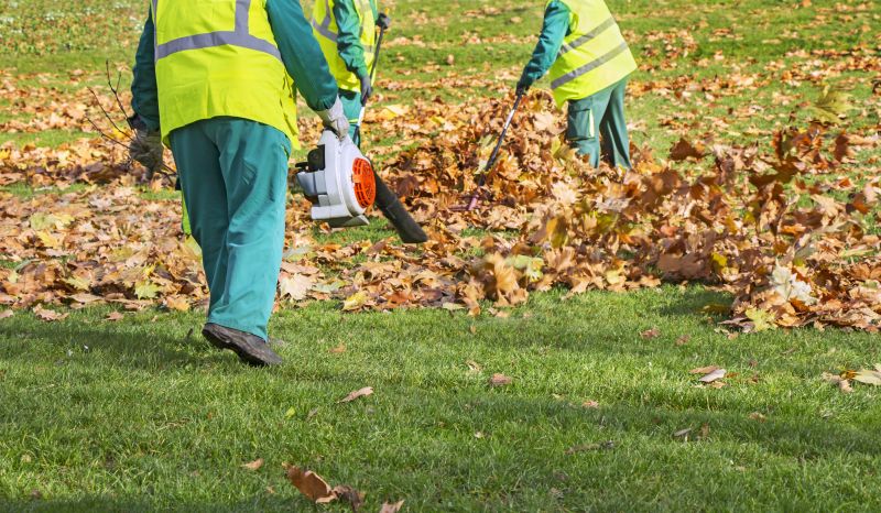Fallen Leaf Removal