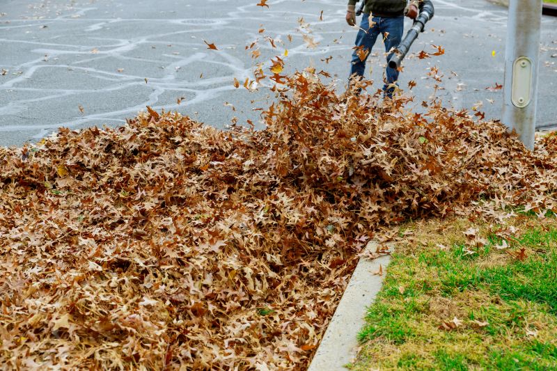 Leaf Cleanup in Progress