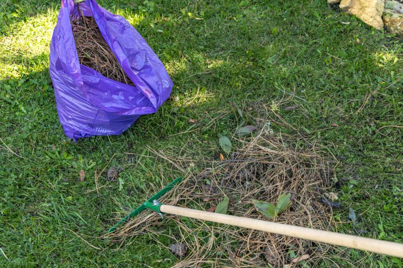 Spring Cleanup Tools