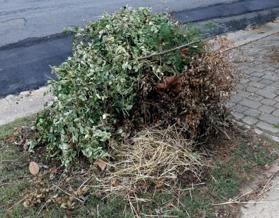 Lawn Debris Cleanup